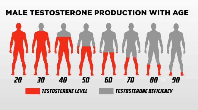 TESTOSTERONE 101 – Young Again MD